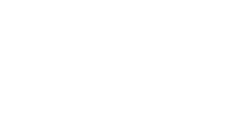 Cognidigit Technologies
